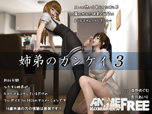 The Relationship of Siblings 3 [IMP Studio] [Cen] [JAP,ENG,RUS,CHI] [720p] 3D-Hentai